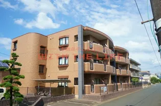 メゾンドーム【105号号室】の外観