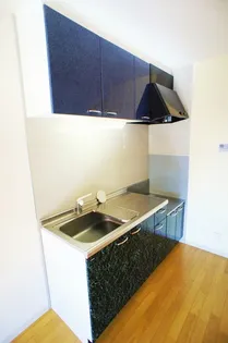 グリーンパーク大善寺II【A101号号室】のキッチン