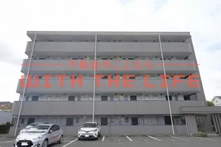 セレンディピティの画像