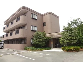 グリーン花水木IIの画像