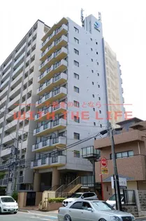 ダイナコート久留米レジックス【804号号室】の外観