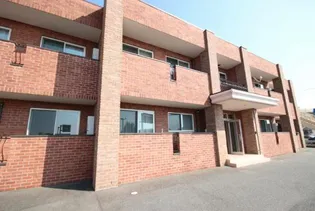 レイ ブリックスの画像