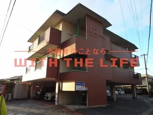 インポート久留米ルビーIの画像