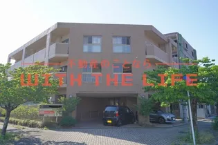 デ ゾン カタブチの画像