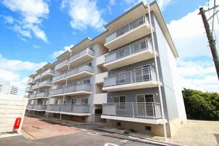 サルヴァトーレ津福の画像