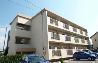 篠山ハイツ【302号号室】の外観