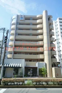 ラグラシューズシェソワアオキの画像