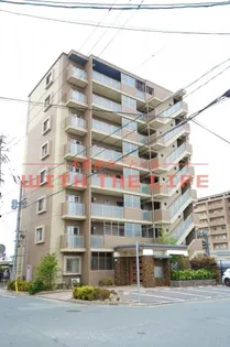 ステラSTⅡの画像