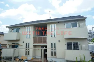 サニーノーブルの画像