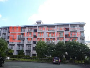 馬場ビル【307号号室】の外観