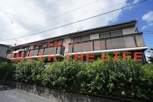 ラベンダー堤の画像