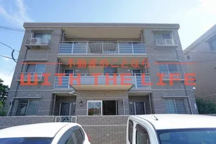 サン グリーンの画像