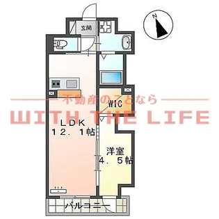 Tiara(ティアラ)本町【503号号室】の間取り