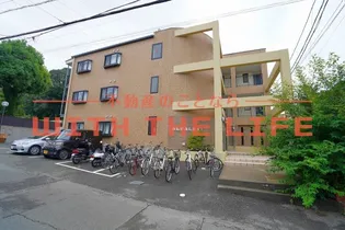 アルファルファの画像