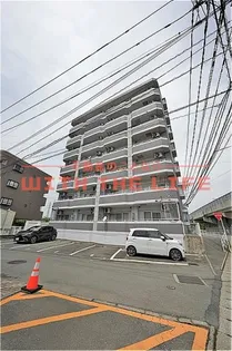 YMクレストの画像