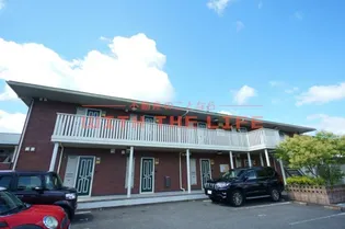 パテル ヴィオラの画像