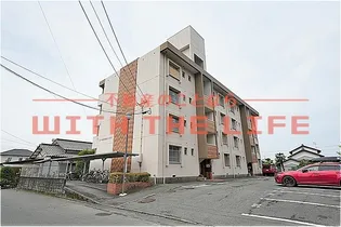 コーポ江戸屋敷【221号号室】の外観