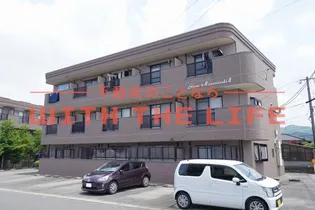 グリーン花水木IIの画像