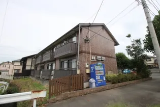 マイスイート都の画像