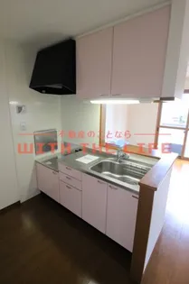 サンライフ樟の實(クスノミ)【A101号号室】のキッチン