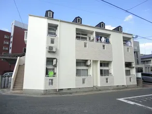 マキシム中央町【203号号室】の外観