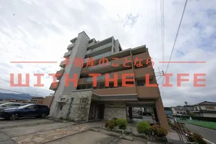 プロスペールS6の画像