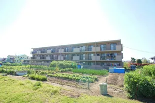 コーポ・サンガイア【205号号室】の外観