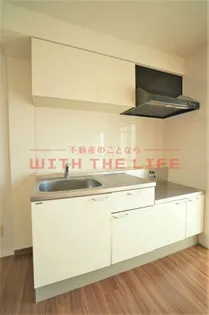 コンチェルト東合川【Ⅱ201号号室】のキッチン