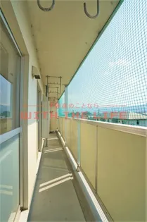 コンチェルト東合川【Ⅱ201号号室】のその他画像