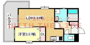 クオリアけやき通り【901号号室】の間取り