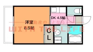 サクシード(御井旗崎)【101号号室】の間取り