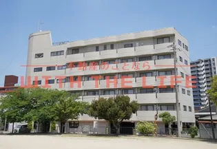 プロビデンス花畑の画像