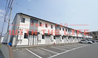 ハイデンレースラインの画像