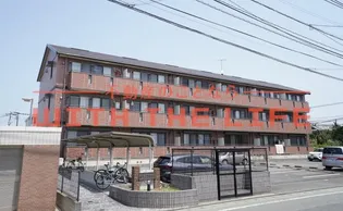 カトレアコートの画像