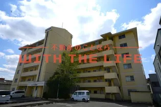 レシオ苅原の画像