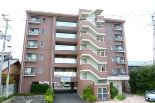 プロスペールSVの画像