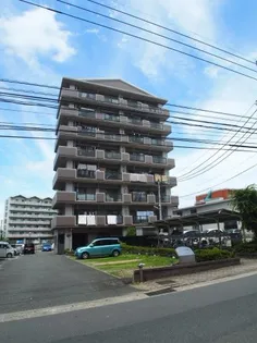 シャルムIIの画像