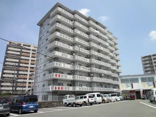 パステルNo12【1003号号室】の外観