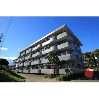 ラフィーヌ清水Ⅱの画像