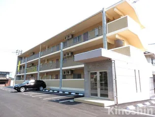 ディアオオイソの画像