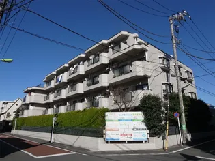 サンローゼの画像