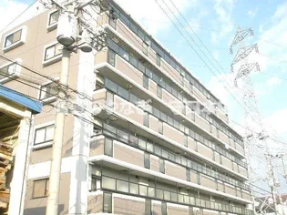 グレイシィーK Yの画像