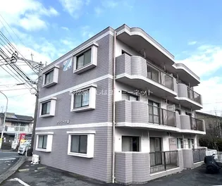 ファミーユ蘭の画像