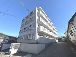 ドルチェ大竜の画像