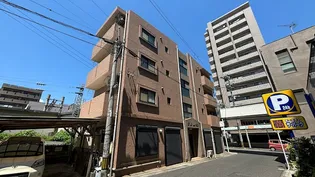 T MCORT白陽の画像