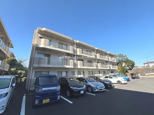 センチュリーIIの画像