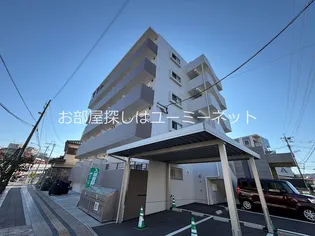 メルシー郡元の画像