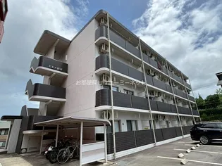 ヒルズ唐湊【402号室】の外観