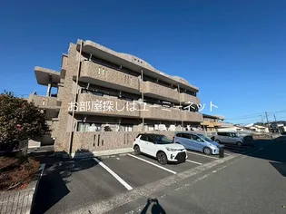 グレース9の画像