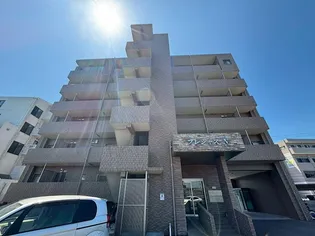 プレシャス Nの画像